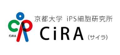 京都大学 iPS細胞研究所 CiRA(サイラ)